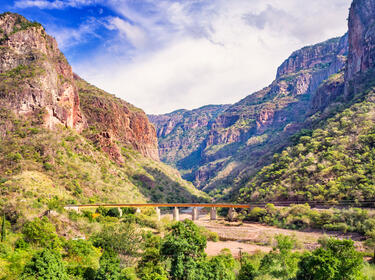 Image of Chihuahua, Mexico